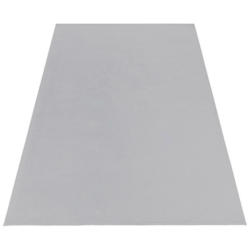 Ayyildiz Teppich CATWALK silber B/L: ca. 80x150 cm