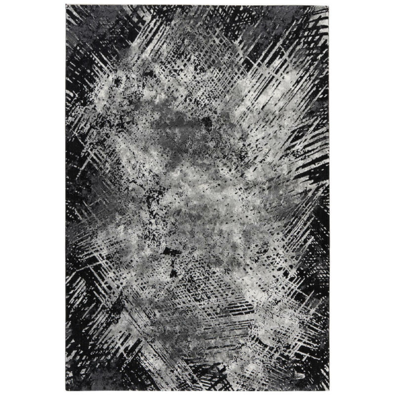 Teppich Pablo silber B/L: ca. 120x170 cm