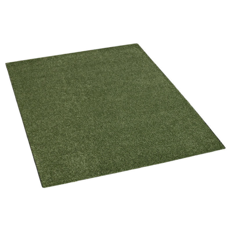 Teppich Tampa grün B/L: ca. 115x170 cm