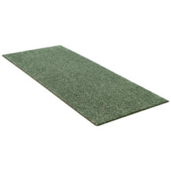 Teppich Tampa grün B/L: ca. 57x150 cm