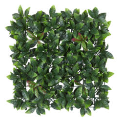 Garden Deluxe Deko-Pflanze Botanik grün B/H/L: ca. 50x0,5x50 cm