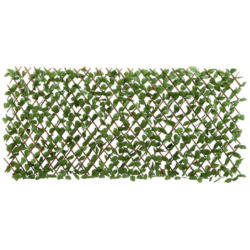 Garden Deluxe Dekozaun Laurus grün B/H/L: ca. 100x0,3x200 cm