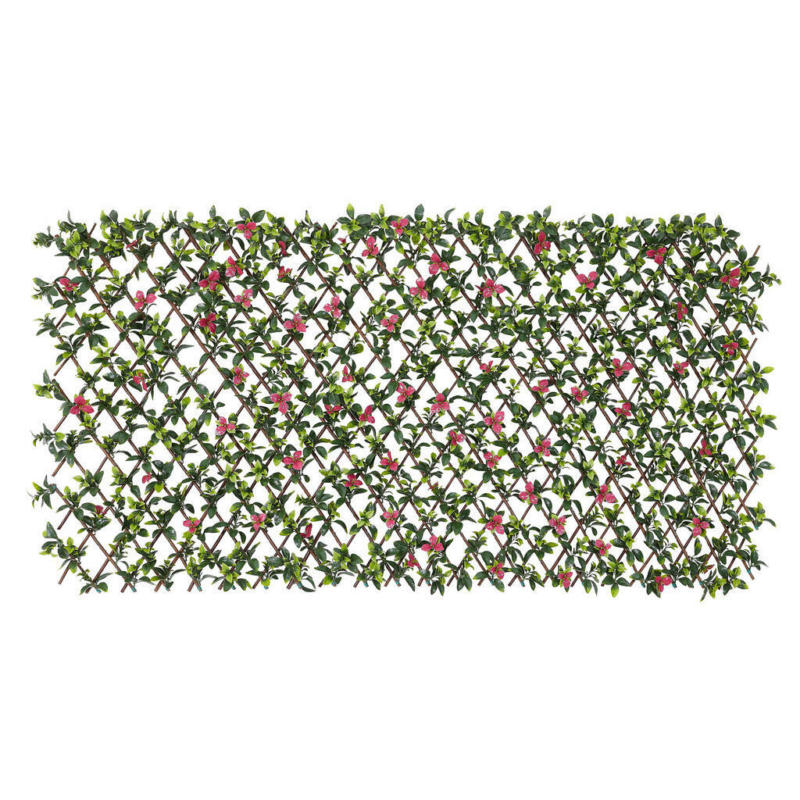 Garden Deluxe Dekozaun Pulmeria grün B/H/L: ca. 100x0,3x200 cm