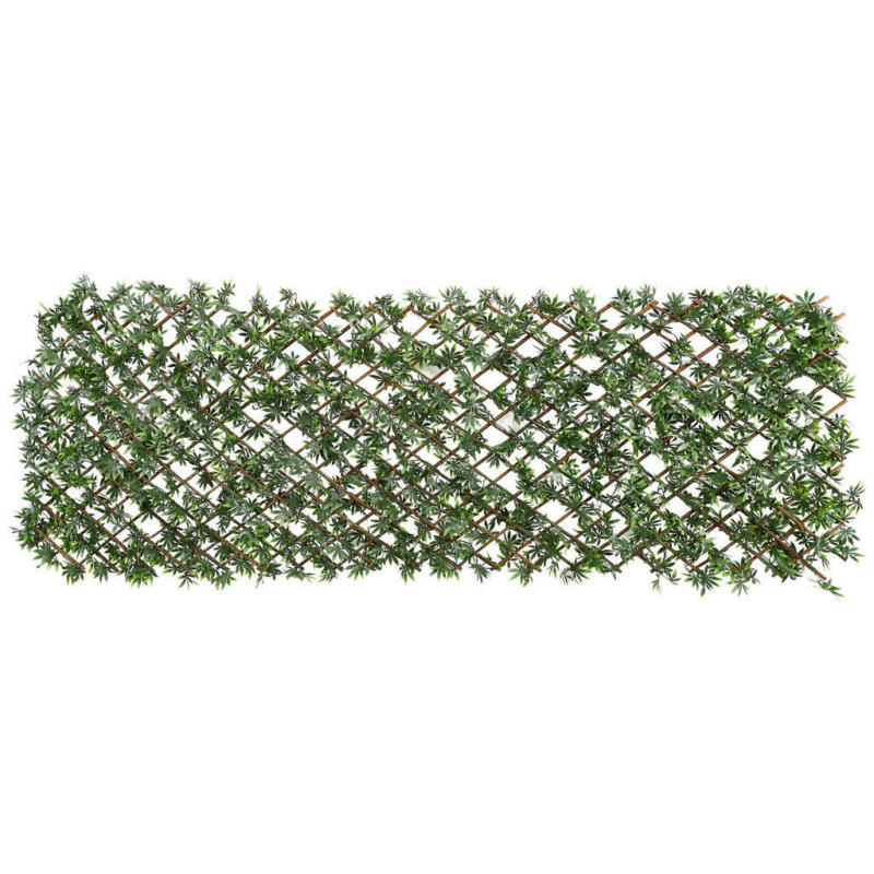 Garden Deluxe Dekozaun Japan Ahorn grün B/H/L: ca. 100x3x200 cm