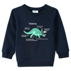 Kinder Sweatshirt mit Triceratops-Motiv (Nur online)