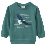 Ernsting's family Kinder Sweatshirt mit Weißkopfseeadler-Motiv (Nur online) - bis 31.03.2024