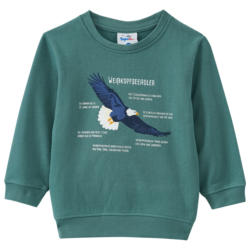 Kinder Sweatshirt mit Weißkopfseeadler-Motiv (Nur online)