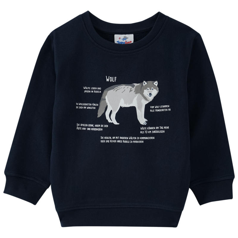 Kinder Sweatshirt mit Wolf-Motiv (Nur online)