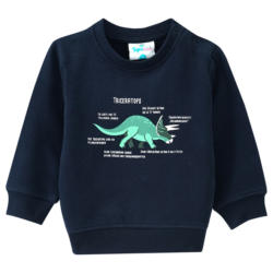 Baby Sweatshirt mit Triceratops (Nur online)