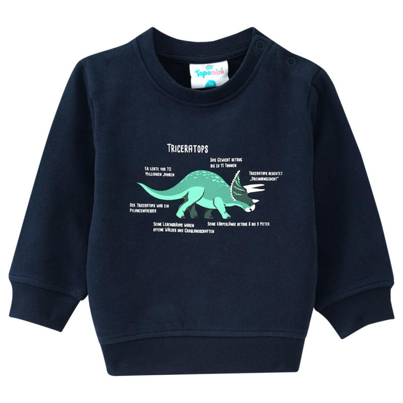 Baby Sweatshirt mit Triceratops (Nur online)