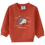Ernsting's family Baby Sweatshirt mit Igel-Motiv (Nur online) - bis 28.04.2024