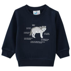 Baby Sweatshirt mit Wolf-Motiv (Nur online)