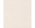 Hornbach Vliestapete 252811 Bambino XIX Uni beige