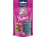 Hornbach Katzensnack VITAKRAFT Cat Yums Lachs 40 g