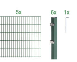 Doppelstabmatten-Set ALBERTS 6/5/6 1000 x 80 cm grün