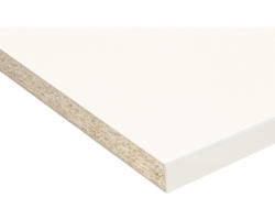 Küchenarbeitsplatte 1106 weiß 4100x635x38 mm (Zuschnitt online reservierbar)