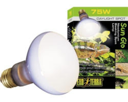 Terrarium-Tageslichtlampe Exo-Terra Neodymium Sun Glo, 50 W