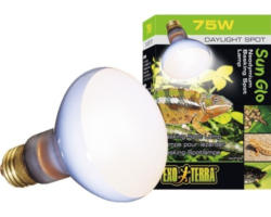 Terrarium-Tageslichtlampe Exo-Terra Neodymium Sun Glo, 100 W