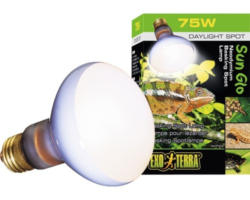 Terrarium-Tageslichtlampe Exo-Terra Neodymium Sun Glo 75 W