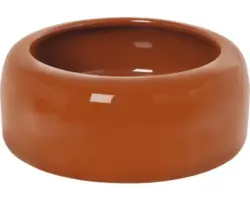 Napf Karlie Keramik 500 ml braun