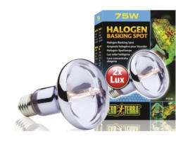 Exo Terra Halogenlampe Sun Glo, 75W