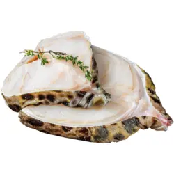 Seewolf Steak (Anarhichas), frisch