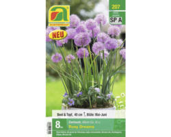 Blumenzwiebel Allium/Zierlauch 'Rosy Dreams' 8 Stk