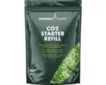 Hornbach Bio CO² Nachfüllset DENNERLE PLANTS CO2 Starter Refill für ca. 60 Tage