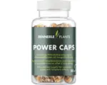 Hornbach Aquariumpflanzendünger DENNERLE PLANTS Power Caps 25 St Wurzeldünger in Kapselform mit Stickstoff, Phosphor, Eisen und Mikronährstoffe, Düngekapseln