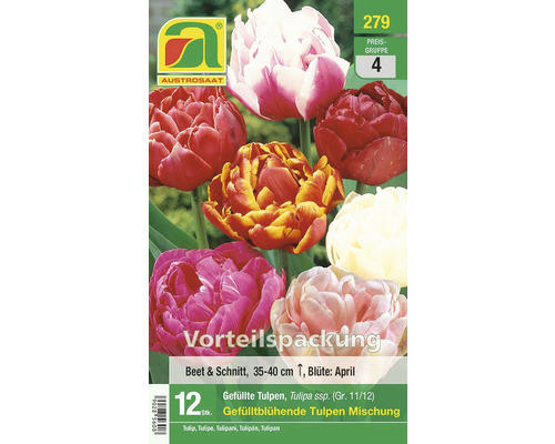 Blumenzwiebel Tulpe 'Gefülltblühende Tulpen Mischung' 12 Stk