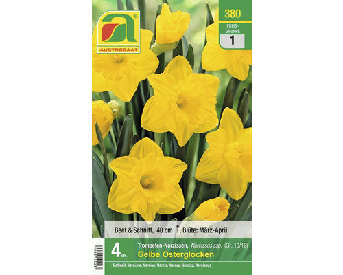 Blumenzwiebel Narzisse 'Gelbe Osterglocken' 4 Stk