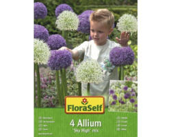 Blumenzwiebel FloraSelf Zierlauch/Allium 'Sky High Mix' 4 Stk.
