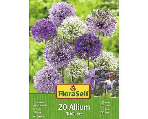 Blumenzwiebel FloraSelf Zierlauch/Allium 'Deco' mix' 20 Stk.