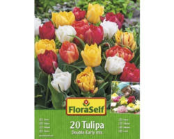 Blumenzwiebel FloraSelf Tulpe gefüllt 'Double-Early Mix' 20 Stk.