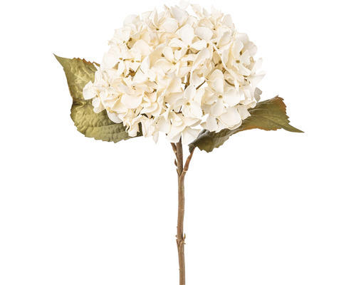 Kunstblume Hortensie Höhe: 65 cm beige