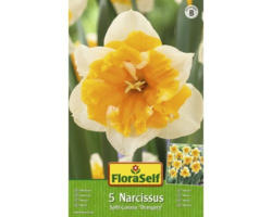 Blumenzwiebel FloraSelf Narzisse 'Orangerie' 5 Stk.