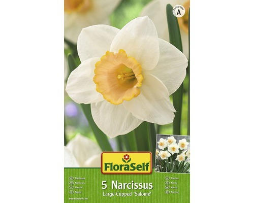Blumenzwiebel FloraSelf Narzisse 'Salome' 5 Stk.