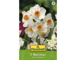 Blumenzwiebel FloraSelf Narzisse ‘Geranium‘ 5 Stk.