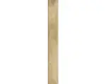Hornbach Feinsteinzeug Sockelfliese Wald 7,5x62 cm beige matt