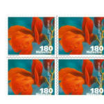 Die Post | La Poste | La Posta Timbres CHF 1.80 «Haricot d'Espagne», Feuille de 10 timbres