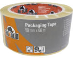 Hornbach ROXOLID Packband PP 50mmx66m transparent