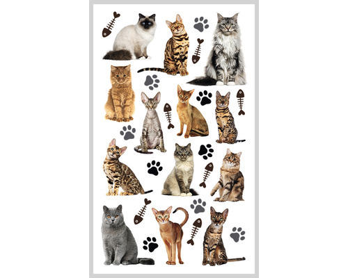 Ministicker Kinder Katzen 29-tlg.