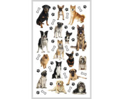 Ministicker Kinder Hunde 44-tlg.