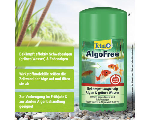 Schwebealgenvernichter TetraPond AlgoFree 1 L