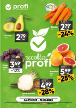 Profi Catalog Profi până în data de 12.09.2023 - până la 12-09-23