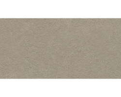 FLAIRSTONE Feinsteinzeug Terrassenplatte Luna beige rektifizierte Kante 100 x 50 x 2 cm