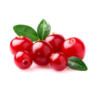 Preiselbeeren aus Schweden