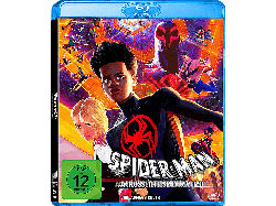 Spider MAN ACROSS THE VERSE BLU-RAY [Blu-ray]
