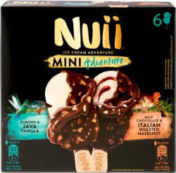 Gelato Mini Adventure Nuii, 2 sortes assorties, 6 x 55 ml