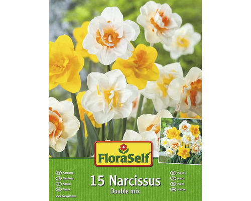 Blumenzwiebel FloraSelf Narzisse 'Double Mix' gefüllte Mischung 15 Stück